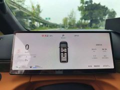 Great Wall WEY Shanshan New Energy Four-Wheel Drive Shanshan 8 - ფოტო 14