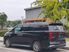 Great Wall WEY Shanshan New Energy Four-Wheel Drive Shanshan 8 - ფოტო 18