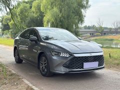 BYD Qin Plus DM-i 55KM Flagship - ფოტო 3