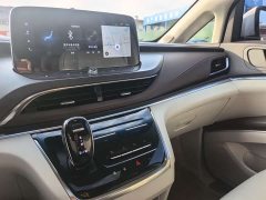 Buick GL8 2022 Land Executive Cabin 652T Luxury - ფოტო 9