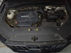 GAC Aion GS8 Pioneer Series 2.0T GDI FWD Luxury Smart Connected 7-Seater - ფოტო 16