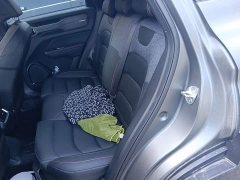 Geely Cowboy 2025 1.5TD Trendy Edition - ფოტო 13
