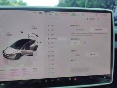Tesla Model 3 Rear-Wheel Drive - ფოტო 20