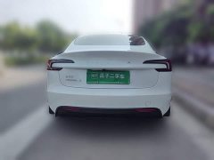 Tesla Model 3 Rear-Wheel Drive - ფოტო 3