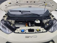 BYD Seagull Freedom Edition - ფოტო 10