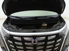Denza BYD Denza D9 2022 DM-i 970 AWD Premium Edition - ფოტო 8