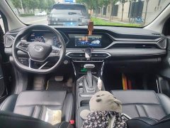 GAC Aion GS4 270T DCT Enjoyment Edition - ფოტო 10