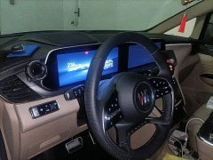 Buick GL8 New Energy Lusang Respect Edition - ფოტო 20