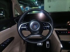 Buick GL8 New Energy Lusang Respect Edition - ფოტო 6