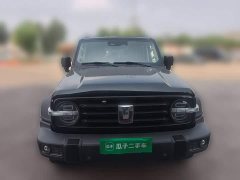 Tank 300 Off-Road Edition 2.0T Conqueror - ფოტო 2