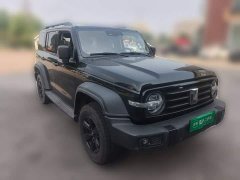 Tank 300 Off-Road Edition 2.0T Conqueror - ფოტო 3
