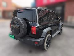 Tank 300 Off-Road Edition 2.0T Conqueror - ფოტო 6