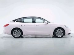 ORA Lightning Cat 555km Deluxe Edition - ფოტო 9