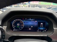 Tank 400 New Energy 2024 Hi4-T Off-Road Edition - ფოტო 10