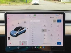 Tesla Model Y Long Range All-Wheel Drive - ფოტო 14