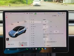 Tesla Model Y Long Range All-Wheel Drive - ფოტო 15