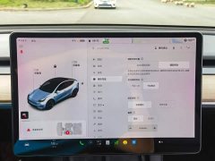 Tesla Model Y Long Range All-Wheel Drive - ფოტო 16