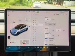 Tesla Model Y Long Range All-Wheel Drive - ფოტო 17