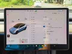 Tesla Model Y Long Range All-Wheel Drive - ფოტო 18