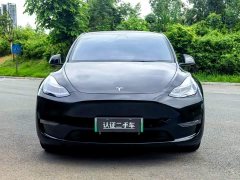 Tesla Model Y Long Range All-Wheel Drive - ფოტო 2