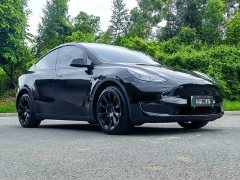 Tesla Model Y Long Range All-Wheel Drive - ფოტო 3