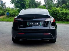 Tesla Model Y Long Range All-Wheel Drive - ფოტო 6