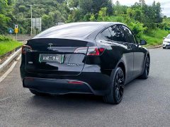 Tesla Model Y Long Range All-Wheel Drive - ფოტო 7