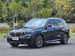 BMW X5 (Imported) xDrive40i M Sport Package - ფოტო 13