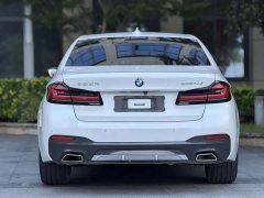 BMW 5 Series 530Li Luxury M Sport Package - ფოტო 10