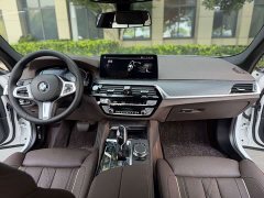 BMW 5 Series 530Li Luxury M Sport Package - ფოტო 5