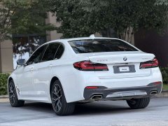 BMW 5 Series 530Li Luxury M Sport Package - ფოტო 9