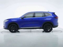 Haval H6 Third Generation 1.5T Automatic Two-Wheel Drive Max - ფოტო 8
