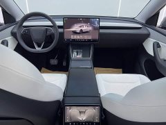 Tesla Model Y Rear-Wheel Drive - ფოტო 19