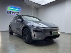 Tesla Model Y Rear-Wheel Drive - ფოტო 3