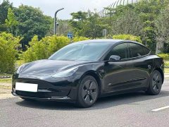 Tesla Model 3 Rear-Wheel Drive - ფოტო 1