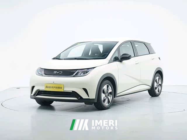 BYD Dolphin 2025 420km Freedom Edition - ავტომობილი ჩინეთიდან