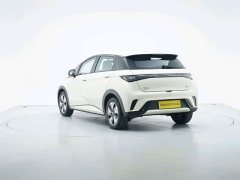 BYD Dolphin 2025 420km Freedom Edition - ფოტო 3