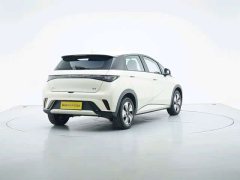 BYD Dolphin 2025 420km Freedom Edition - ფოტო 5