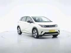 BYD Dolphin 2025 420km Freedom Edition - ფოტო 7
