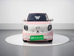 FAW Besturn Xiaoma 170km Vitality Edition - ფოტო 2