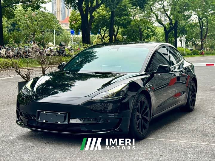 Tesla Model 3 Rear-Wheel Drive
