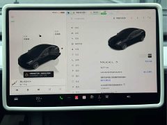 Tesla Model 3 2022 Rear-Wheel Drive - фото 16