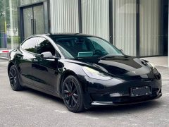 Tesla Model 3 2022 Rear-Wheel Drive - фото 3