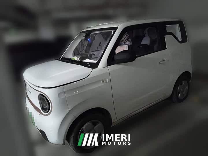 Geely Panda Mini 200km Endurance Edition - ავტომობილი ჩინეთიდან