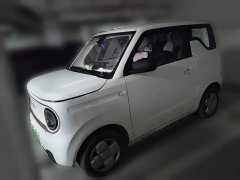 Geely Panda Mini 200km Endurance Edition - ფოტო 1