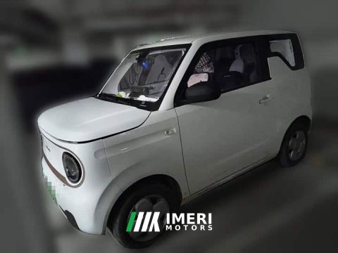 2024 Geely Panda Mini 200km Endurance Edition - ავტომობილი ჩინეთიდან
