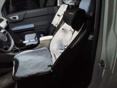 Geely Panda Mini 200km Endurance Edition - ფოტო 13