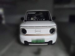 Geely Panda Mini 200km Endurance Edition - ფოტო 2