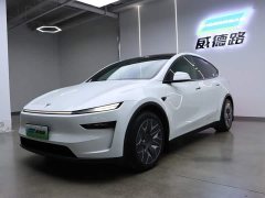 Tesla Model Y L Long Range All-Wheel Drive - ფოტო 1