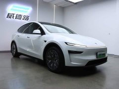 Tesla Model Y L Long Range All-Wheel Drive - ფოტო 3